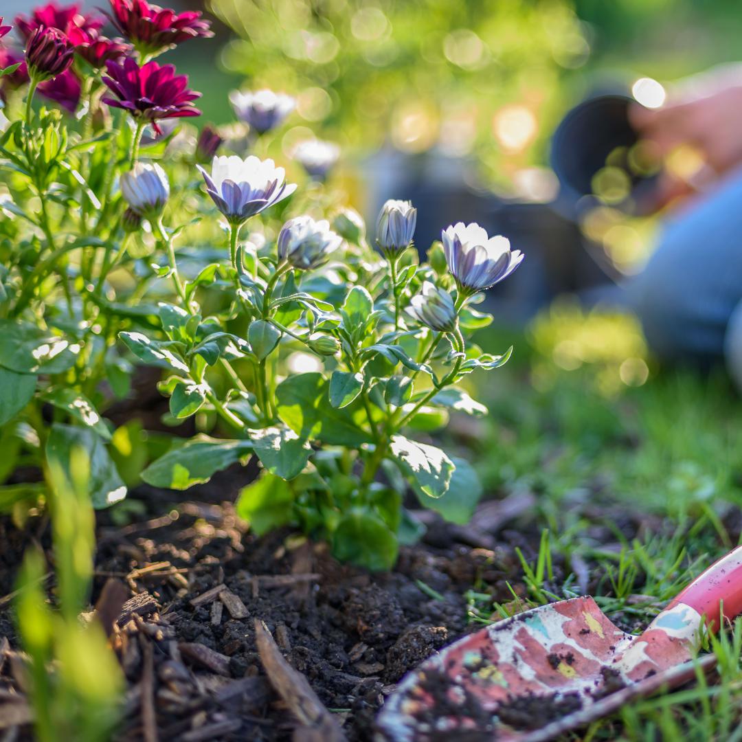 Spring into a new fencing project! - Fences by All Type Fence