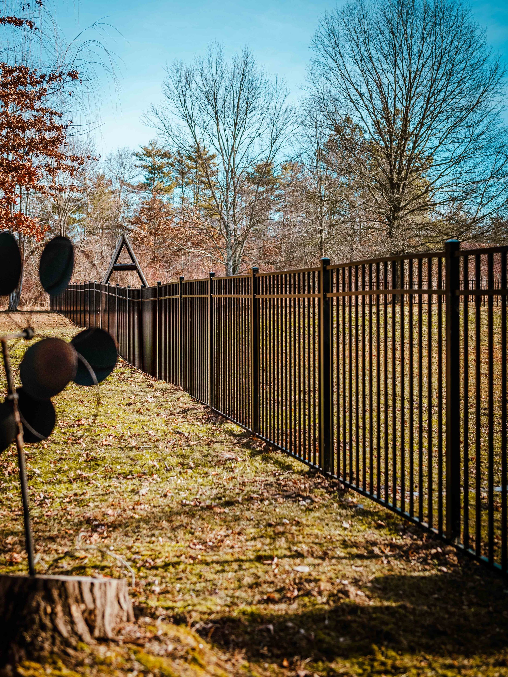 Get Inspired: Aluminum Fence made for dogs