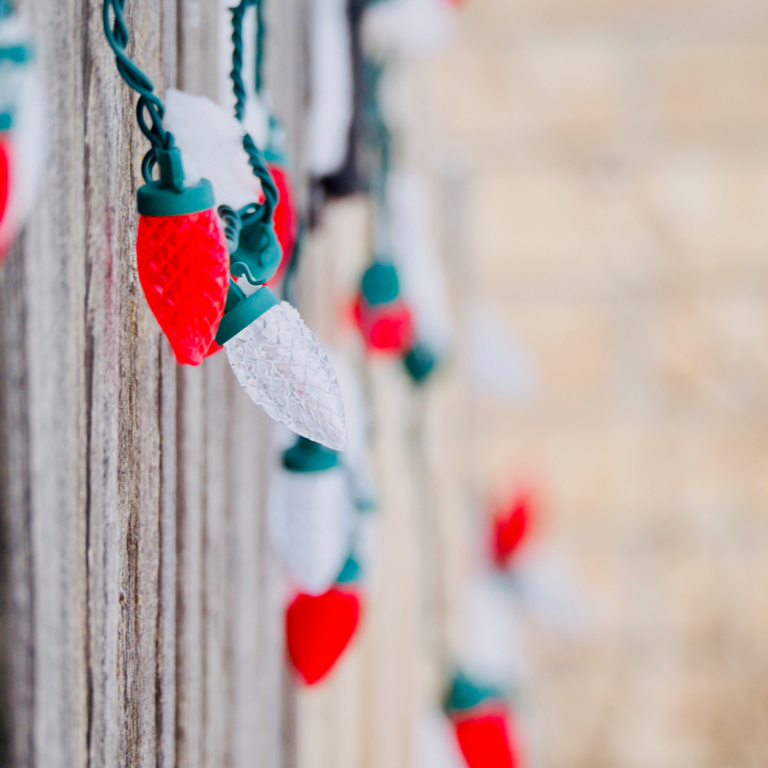 Holiday Fence Inspo