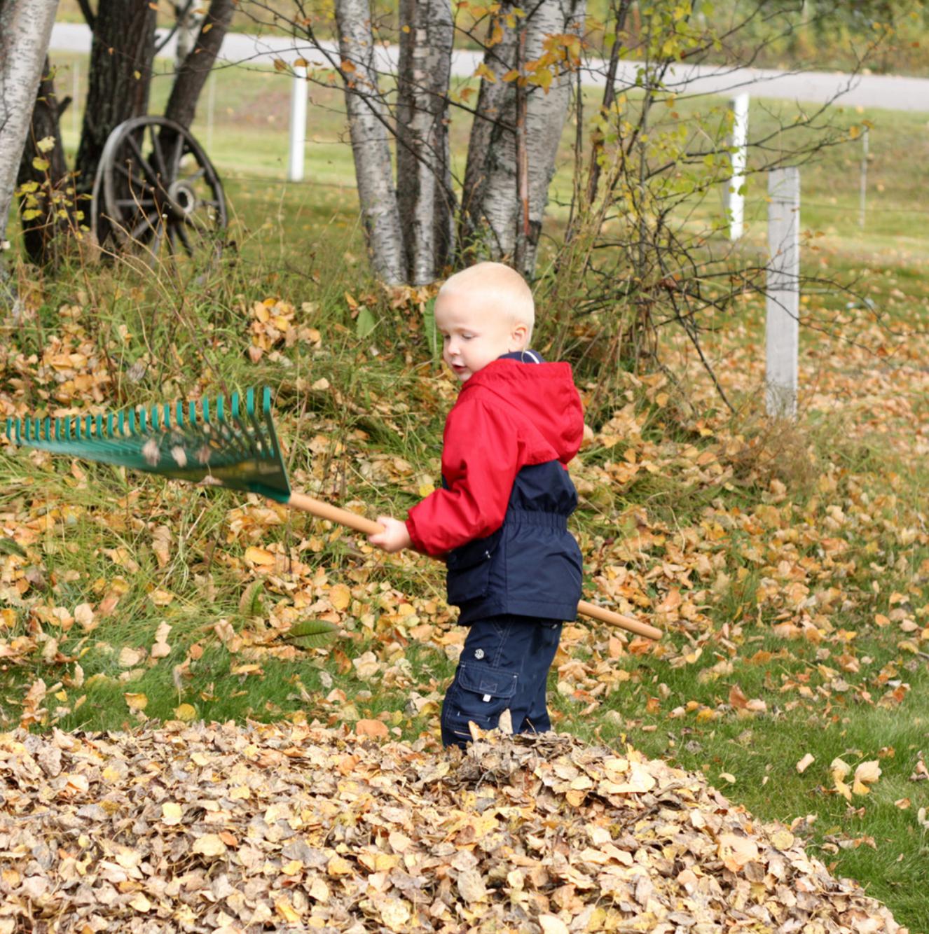 Outdoor Projects for Fall - Fences by All Type Fence