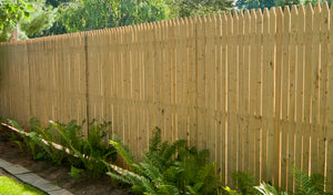 Privacy Fence