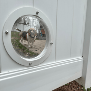 dog thru pet portal