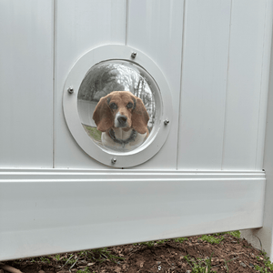 dog thru pet portal